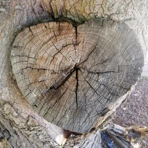 Meet your Posher, Tere